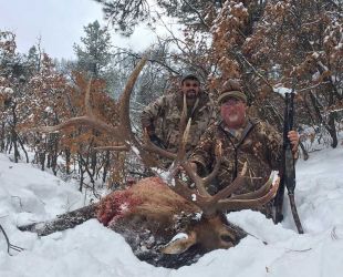 December Elk Hunts