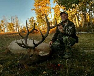 November Elk Hunts