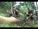 Elk Hunting Trip