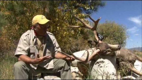 Mule Deer Hunting with Milligan Brand Outfitting