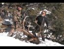 Rifle Elk Hunting Video