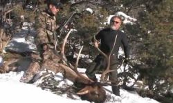 Rifle Elk Hunting Video